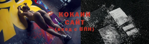 ПСИЛОЦИБИНОВЫЕ ГРИБЫ Богданович