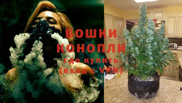 не бодяженный Белокуриха