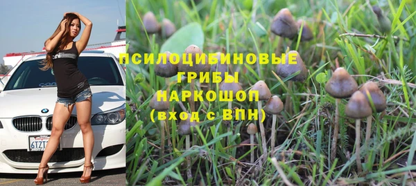 винт Баксан